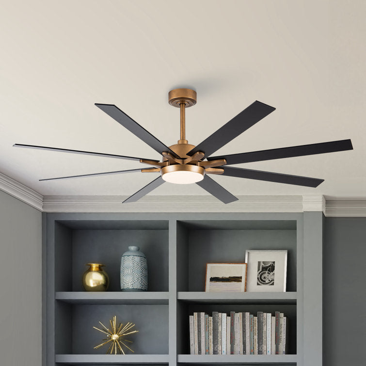 Figen 65'' Ceiling Fan with LED Lights