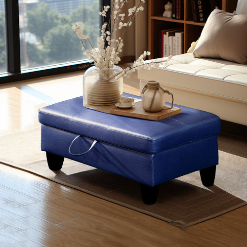 Pinecrest Vegan Leather Storage Ottoman