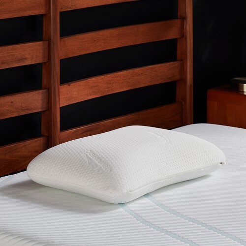 Wayfair Memory Foam Pillow